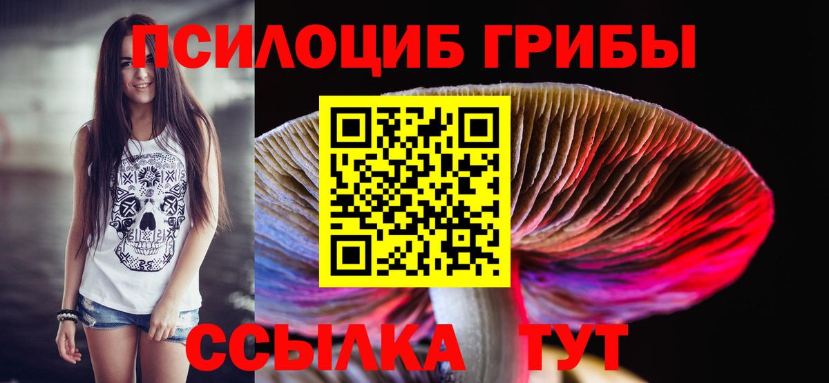 где найти наркотики  Вход с VPN  Псков  Псилоцибиновые грибы GOLDEN TEACHER 
